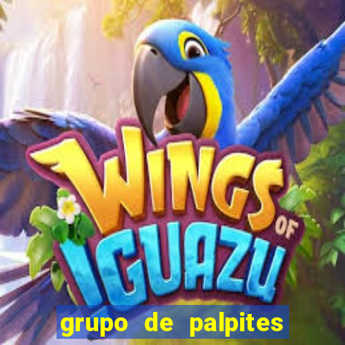 grupo de palpites de futebol telegram